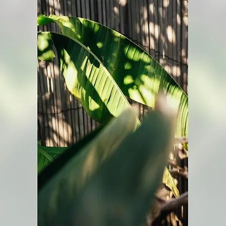 Little Oasis - Private Terrasse Near The Center And The *