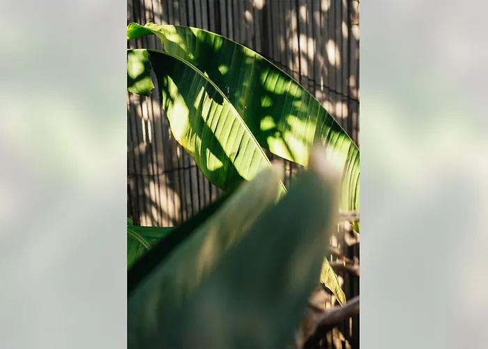 Little Oasis - Private Terrasse Near The Center And The *